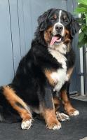 Quanna.IMG_4108.jpg