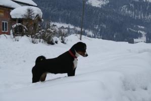 c_IMG_201210.jpg